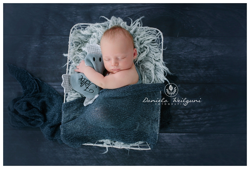 Babyfotos Fotograf Fotoshooting Babyfotograf Linz Amstetten Steyr Österreich_0032