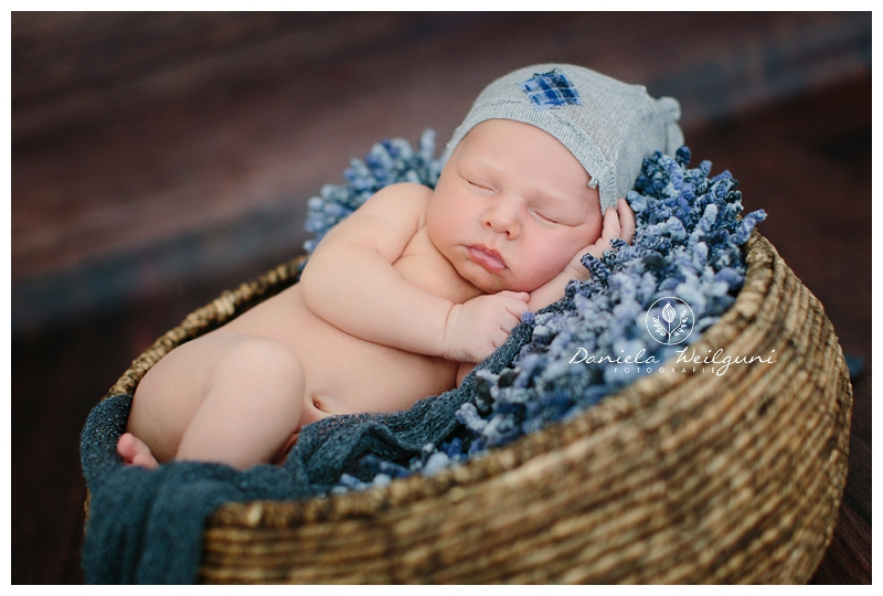 Babyfotos Fotograf Fotoshooting Babyfotograf Linz Amstetten Steyr Österreich_0033