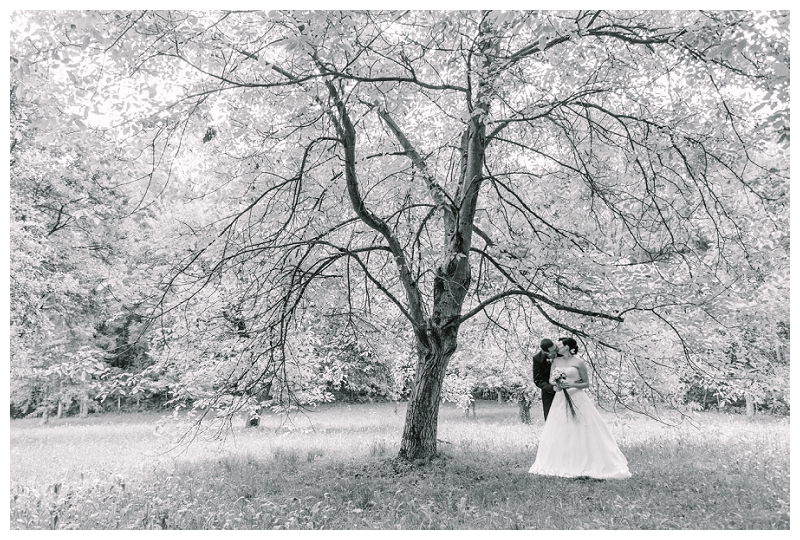 Hochzeitsfotos Hochzeitsfotograf Hochzeitspaar Fotos fotoshooting Brautpaar Linz Österreich Amstetten Steyr422.jpg